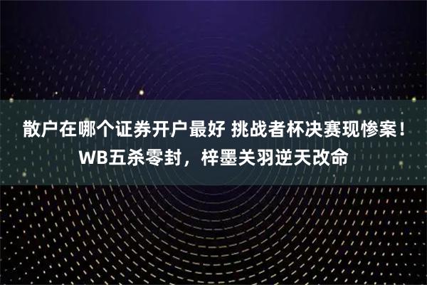 散户在哪个证券开户最好 挑战者杯决赛现惨案！WB五杀零封，梓墨关羽逆天改命